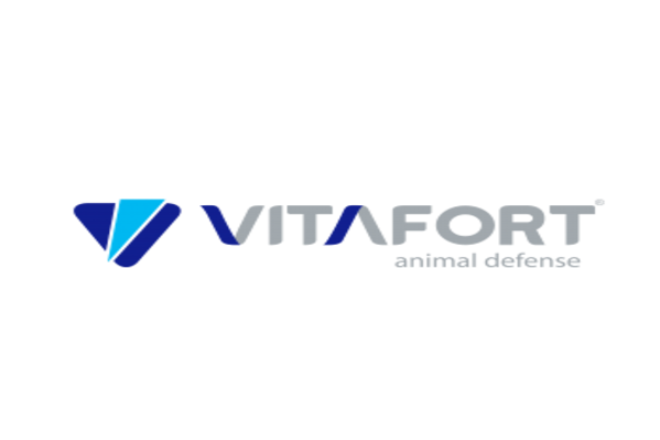 maior_Vitafort_1